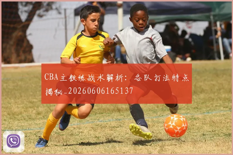 CBA主教练战术解析:各队打法特点揭秘_20260606165137