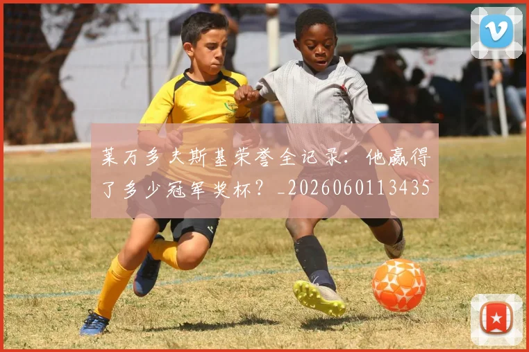 莱万多夫斯基荣誉全记录：他赢得了多少冠军奖杯？_20260601134350